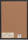 Grammatophora marina var. baldjikiana Grun. (de-Toni-Nr.: Genus 93, Species 3030) Zeichnungen Sammlung Grunow Mappe 03209 (Herbarium_W_Grunow_drawings_Folder_03209)